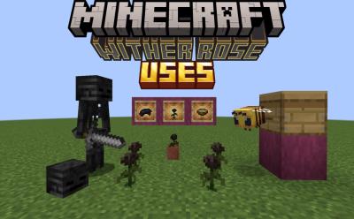 Wither skeleton, wither roses, a bee and beehive in Minecraft