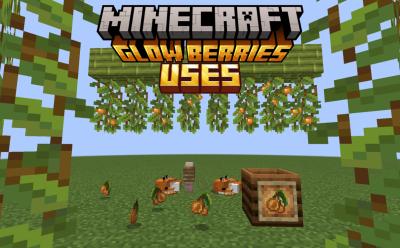 Lots of cave vines with berries and some glow berries are on the ground next to tied foxes and a composter in Minecraft