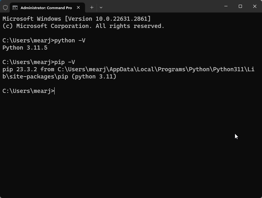 check python and pip version