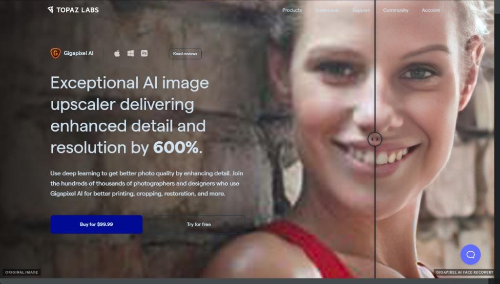 gigapixel AI from Topaz Labs' web interface