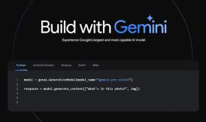 How to Access and Use Google Gemini API Key (with Examples)