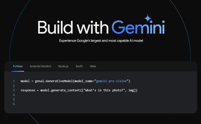 how to use Google Gemini API