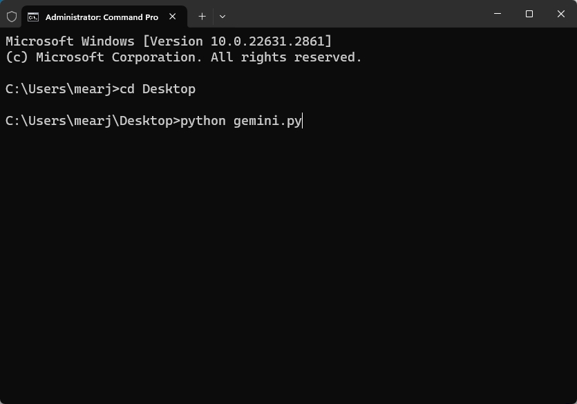 run a python file in terminal