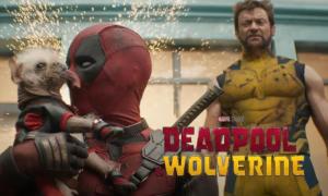 16 Confirmed Actors in Deadpool and Wolverine Cast