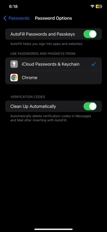 Auto delete OTPs iOS 17