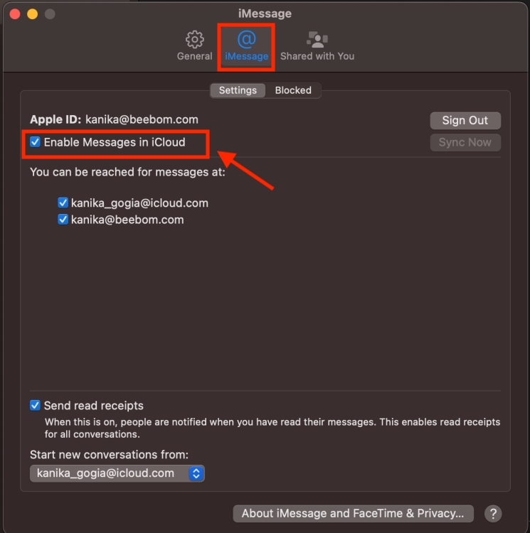 Enable Messages in iCloud option