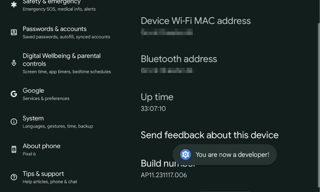 Enable developer mode