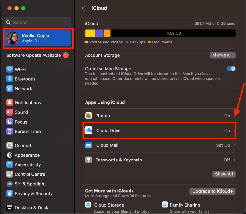 Select iCloud Drive in Apple ID settings