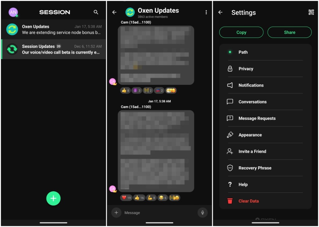 Session app chat window and settings preview