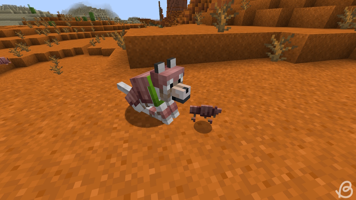 Dog with wolf armor and the wolf armor item in front of it in the Minecraft Snapshot 24w03a