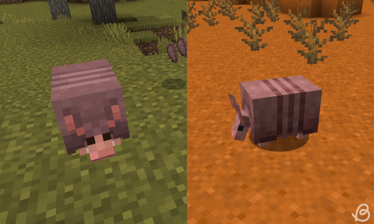 Old and new armadillo textures