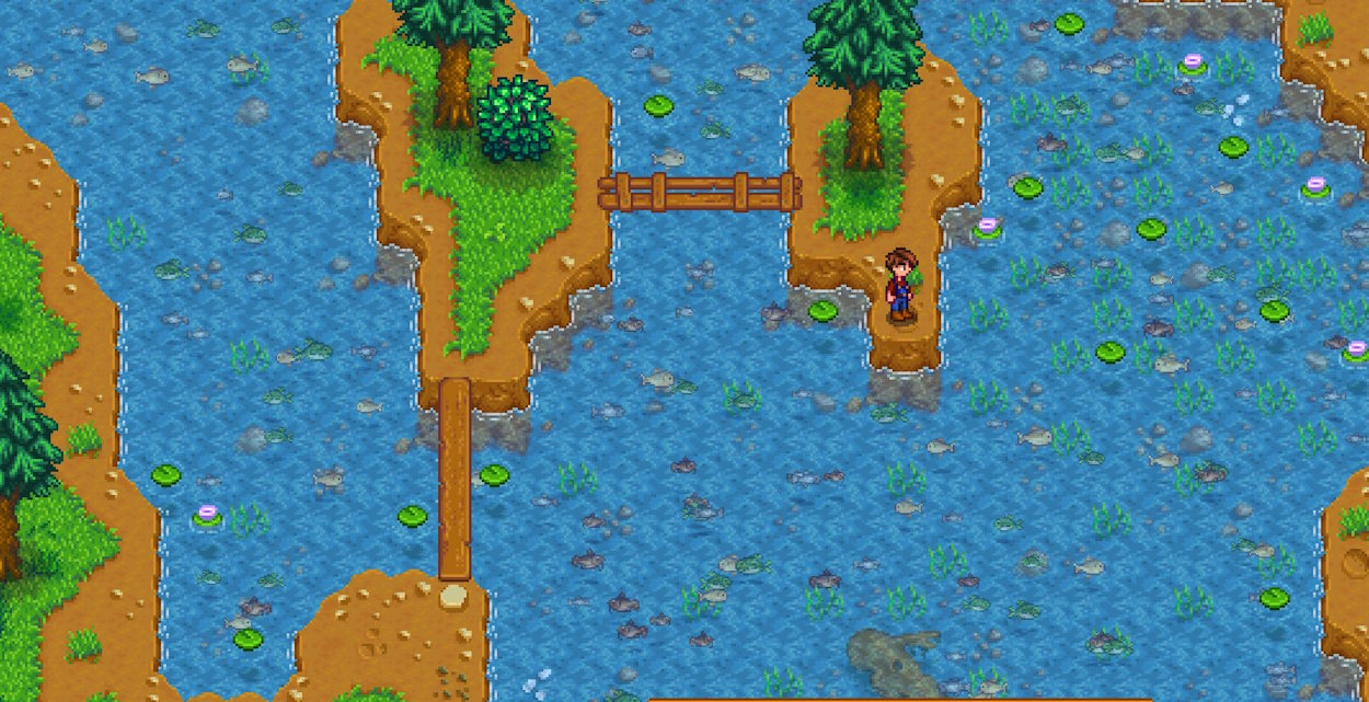 Visible Fish Stardew Valley mod