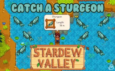 Player successfully caught a sturgeon in Stardew Valley