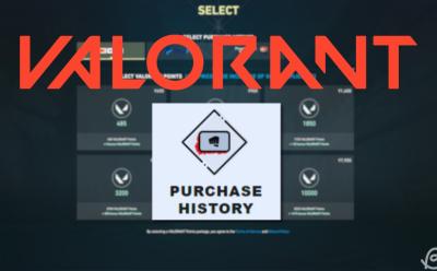 Valorant purchase history cover