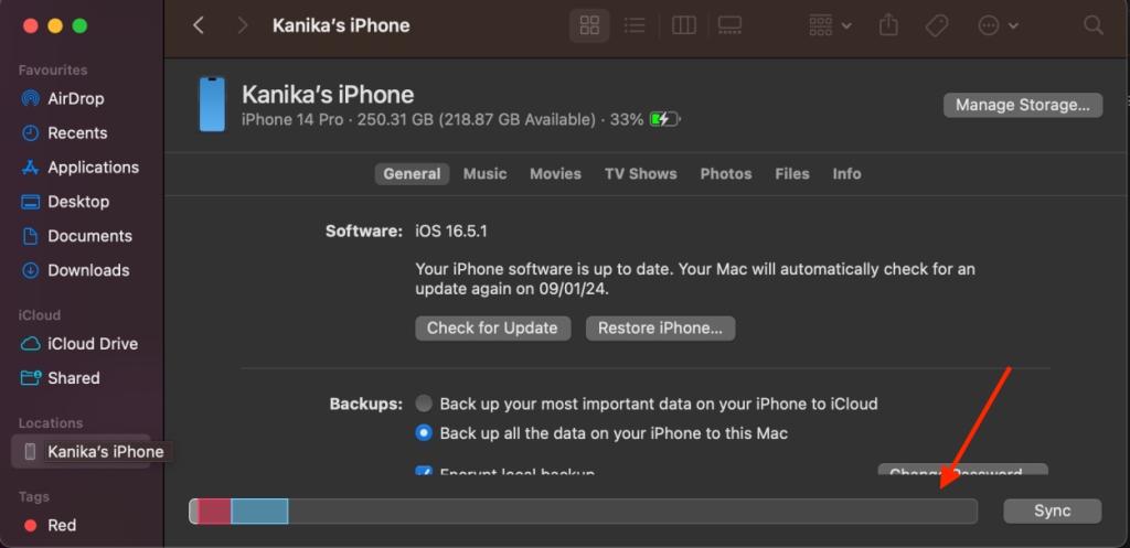 View iPhone System Data on Mac