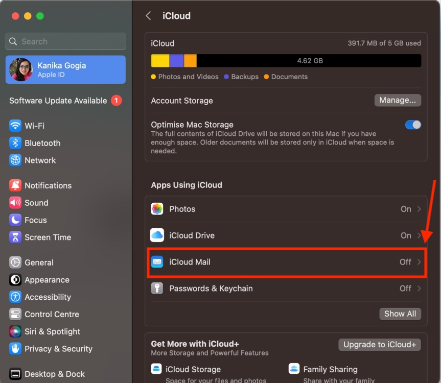 iCloud Mail in iCloud settings on Mac