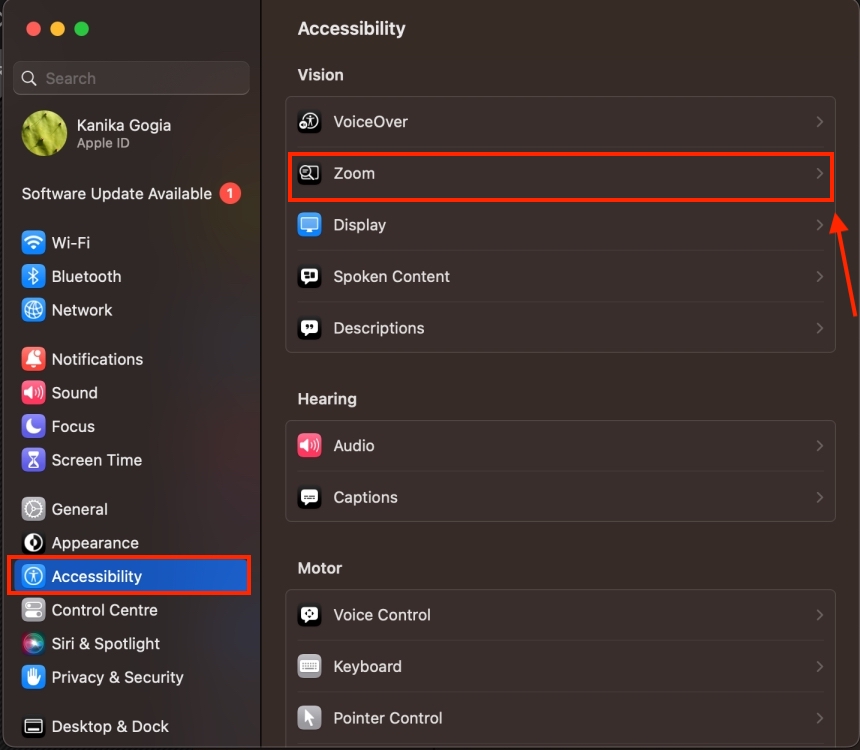 Accessibility section in System Settings on Mac