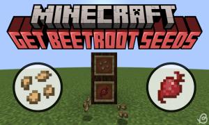 How to Get Beetroot Seeds in Minecraft