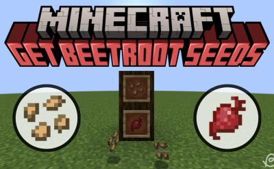 Beetroot and beetroot seeds in item frames in Minecraft