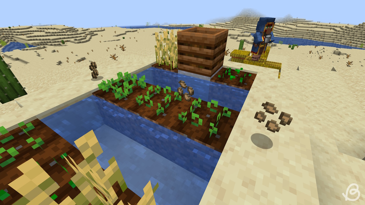 Naturally generated beetroot seeds in a village farm in Minecraft