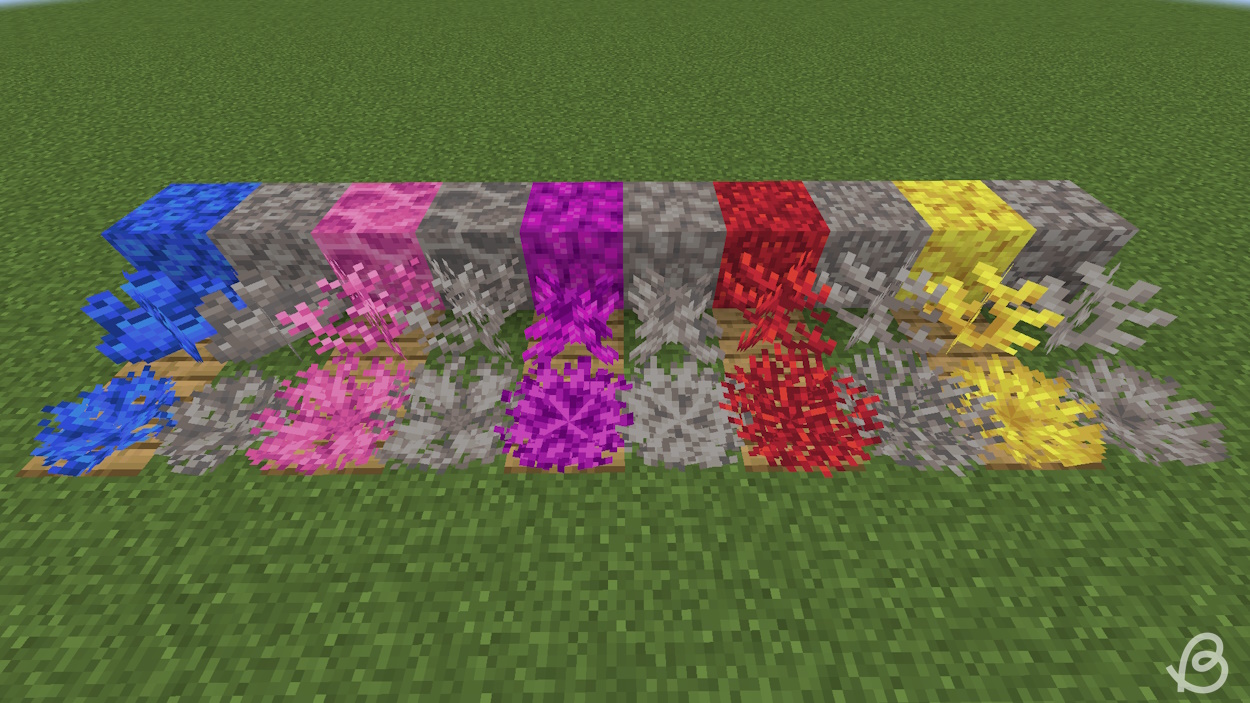 All coral variants