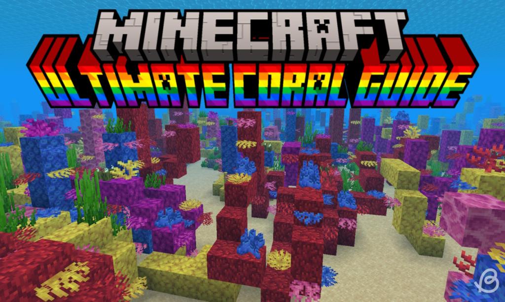 Minecraft Coral Reef: Everything You Need to Know

https://beebom.com/wp-content/uploads/2024/02/Coral-Guide-Large-coral-reef-in-a-warm-ocean-in-Minecraft.jpg?w=1024&quality=75