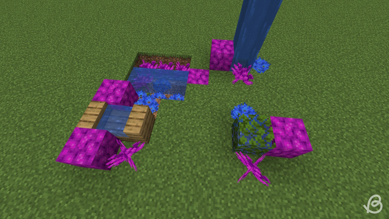 Ways which you can keep coral variants alive in inside your Minecraft world
