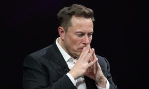 "Don't Mean to Be a Pest," Elon Musk Calls Out Microsoft CEO for Tech Support