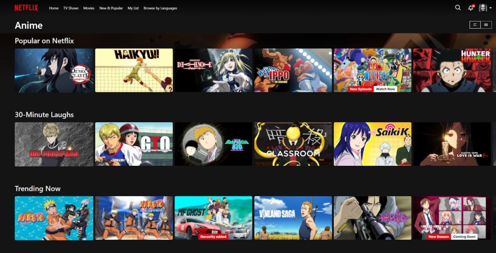homepage of Netflix anime