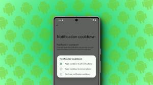 What Is Android 15's Notification Cooldown Feature (& How to Enable It)