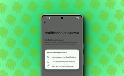 Android 15 DP1 Notification cooldown feature preview
