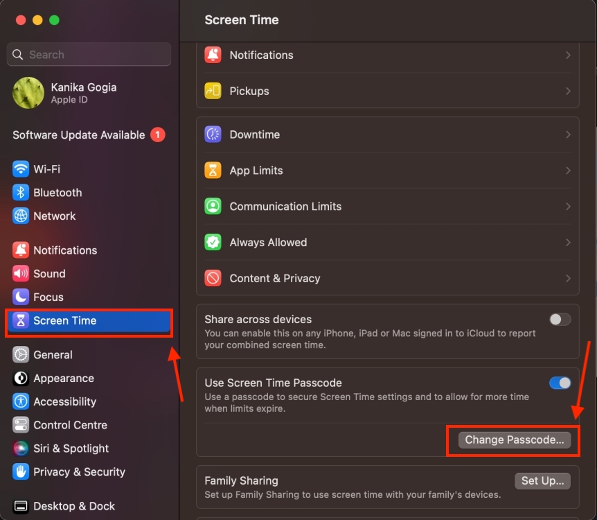 Screen Time section in System Settings on Mac