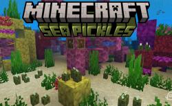 Coral reef with lots of sea pickles around in Minecraft