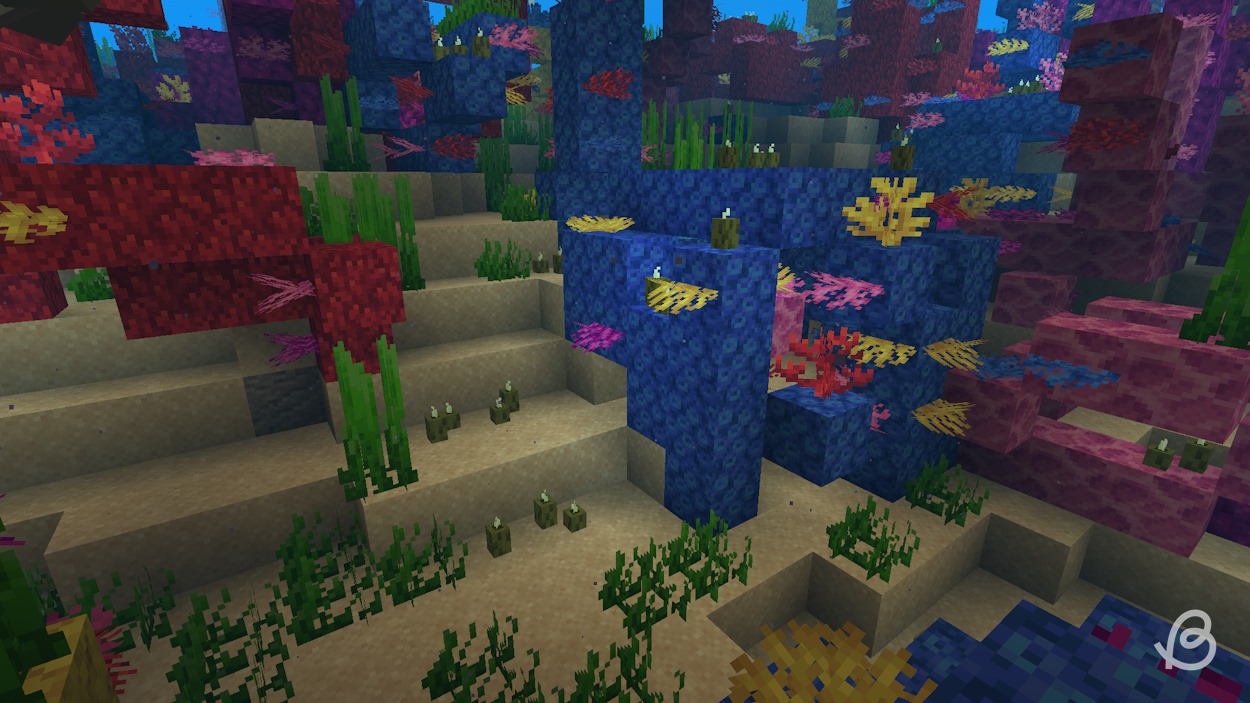 Naturally generated sea pickles in a warm ocean