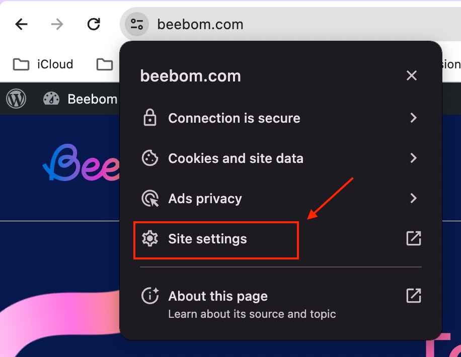 Site Settings option in Chrome
