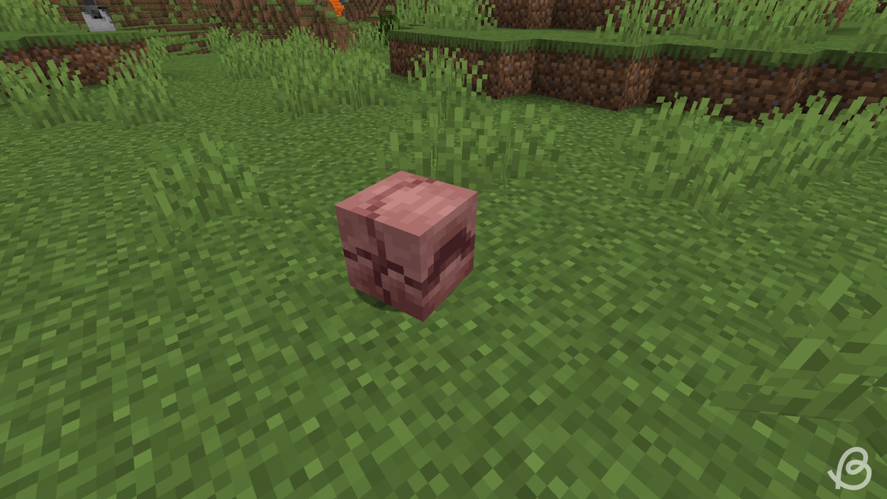 New armadillo roll up animation from Minecraft Snapshot 24w06a