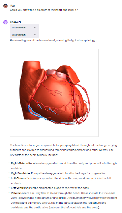 Using the Wolfram ChatGPT Plugin to depict a heart diagram