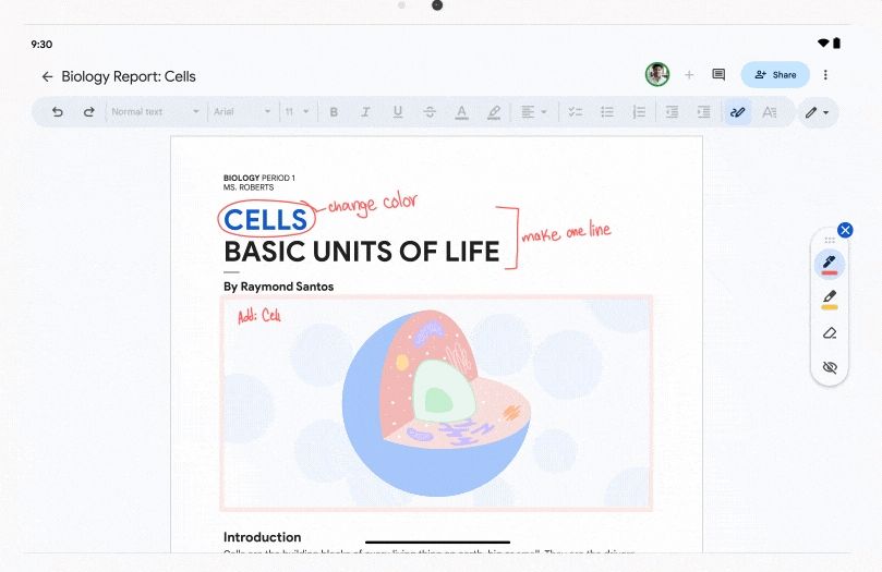 google docs annotation support