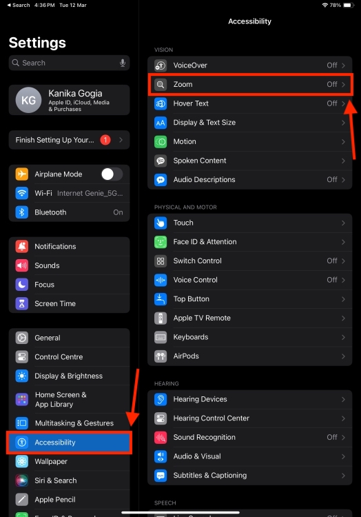 Accessibility in iPad Settings