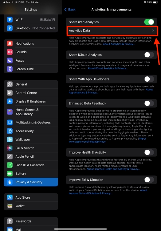 Analytics Data option in iPad Settings