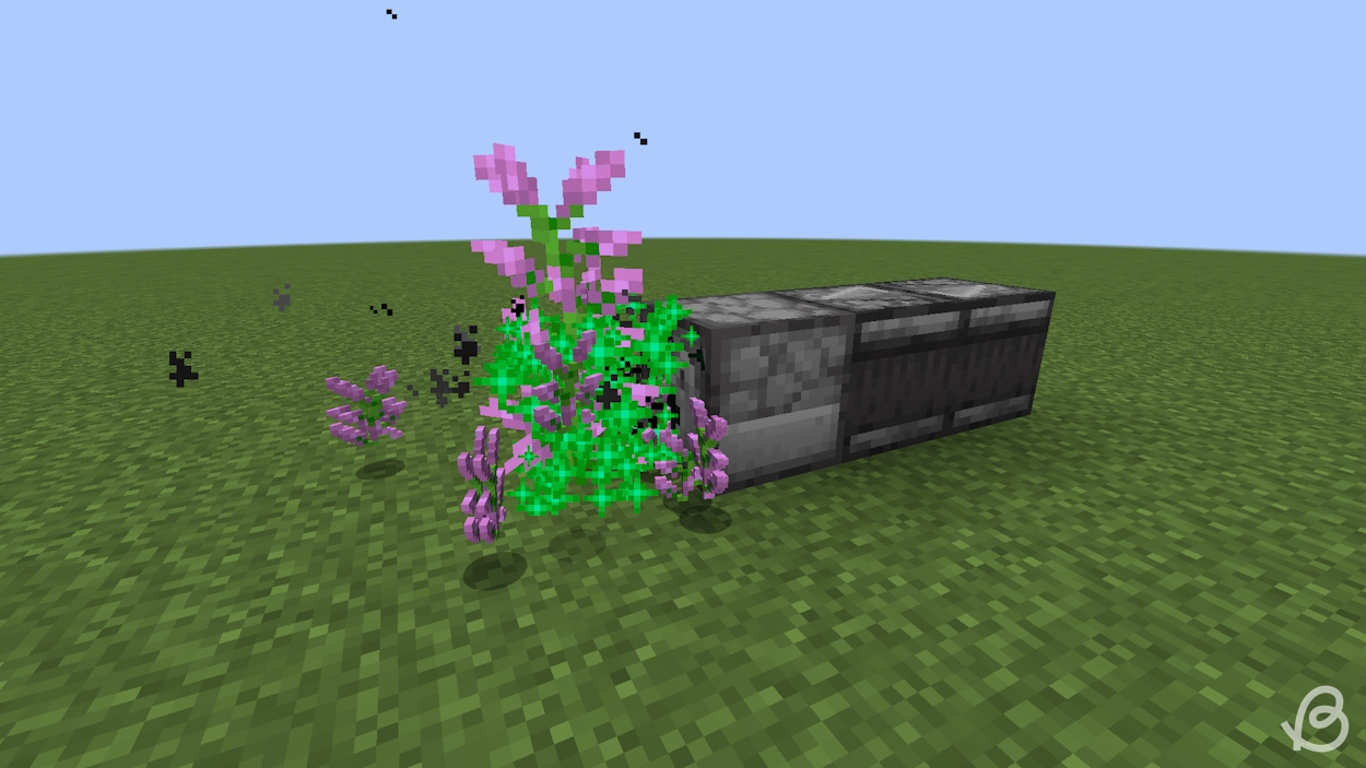 Dispenser using bone meal on a two-block tall flower in Minecraft