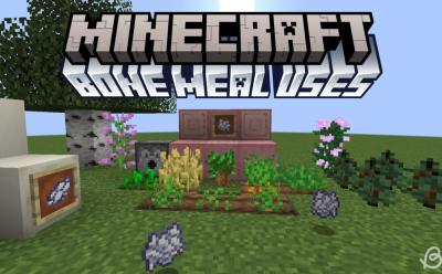 Planted crops, saplings, flowers, bone blocks and bone meal item in the item frame in Minecraft