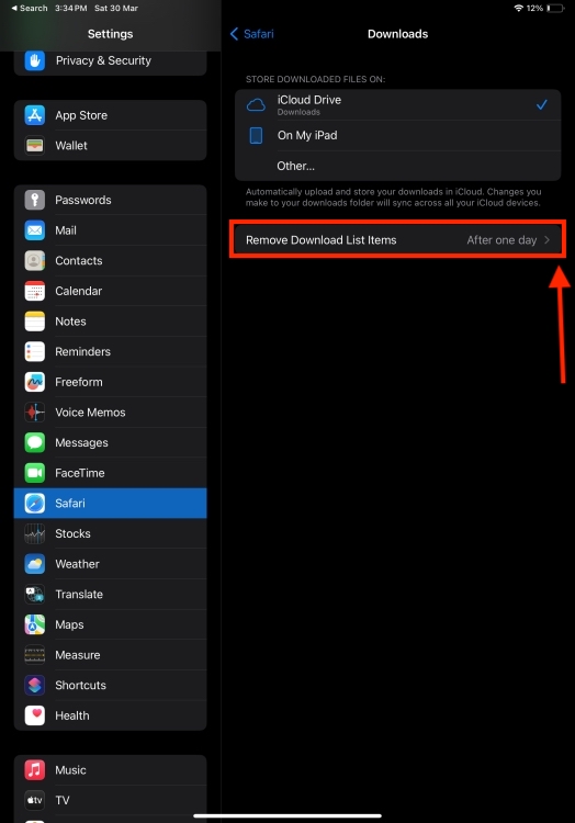 Downloads settings in Safari