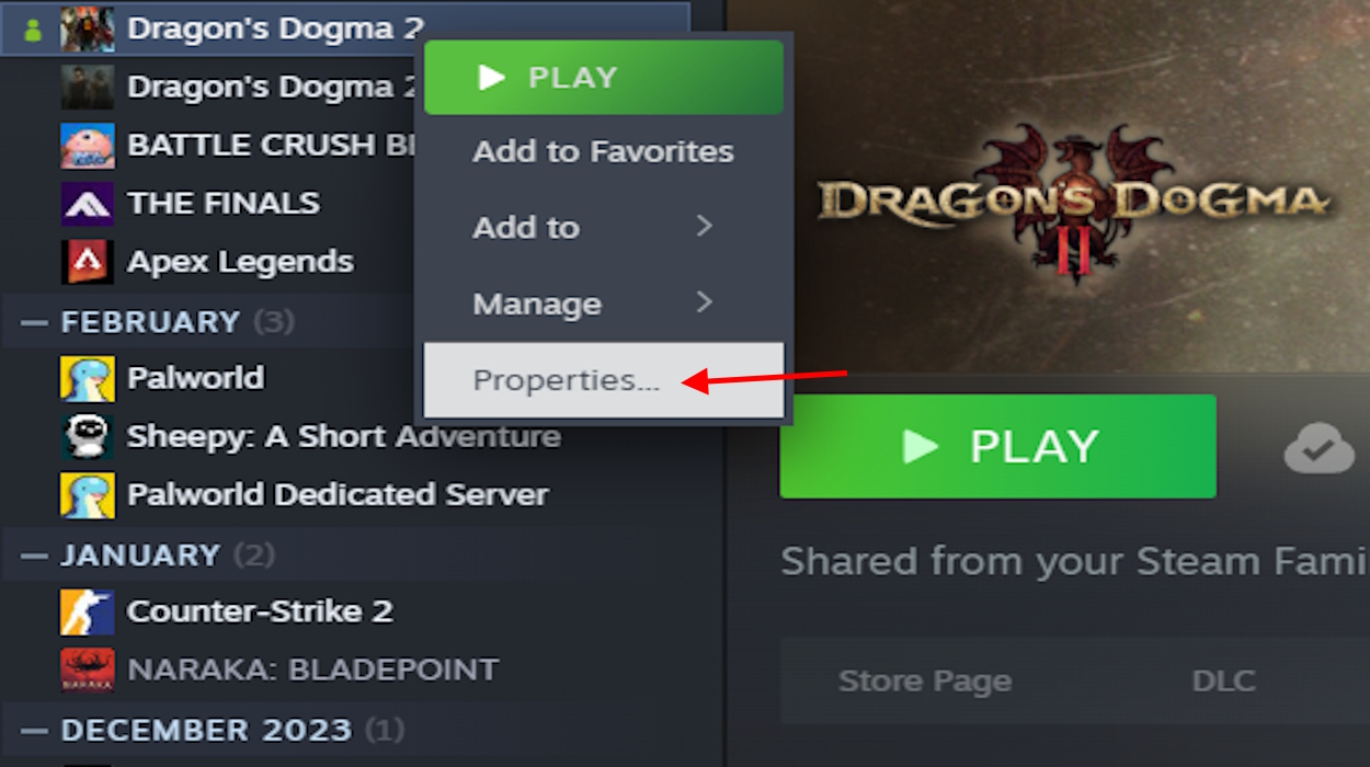 Dragons Dogma 2 properties on Steam