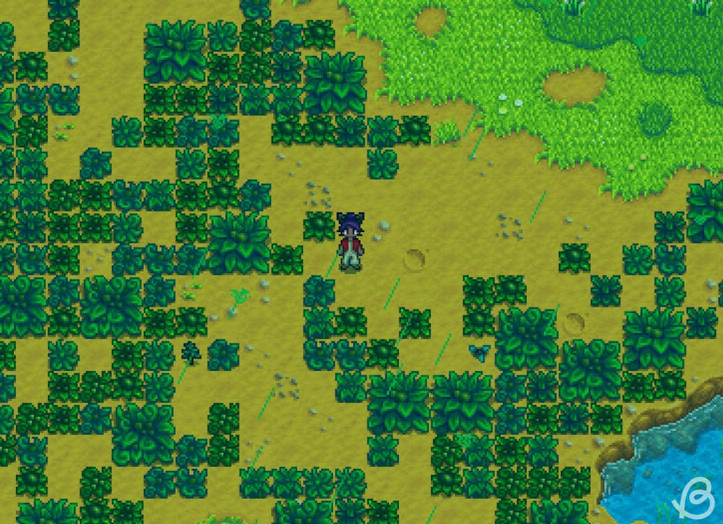 Unique bushes during the green rain event in Stardew Valley 1.6