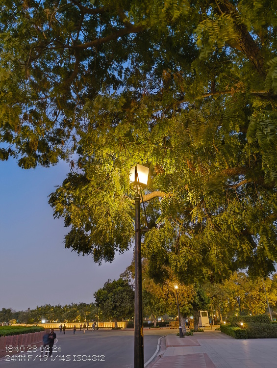 Nothing Phone 2a night mode shot of a lamp post captured through 24mm sensor