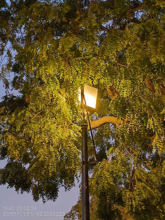 Nothing Phone 2a night mode shot of a lamp post captured through 50mm sensor
