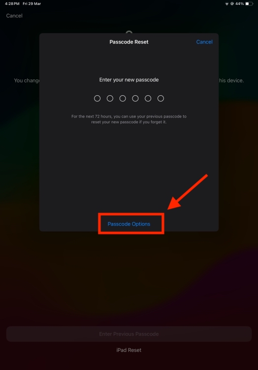 Passcode Options iPad