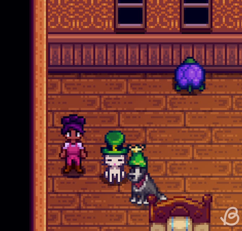 Pets wearing hats in Stardew Valley 1.6