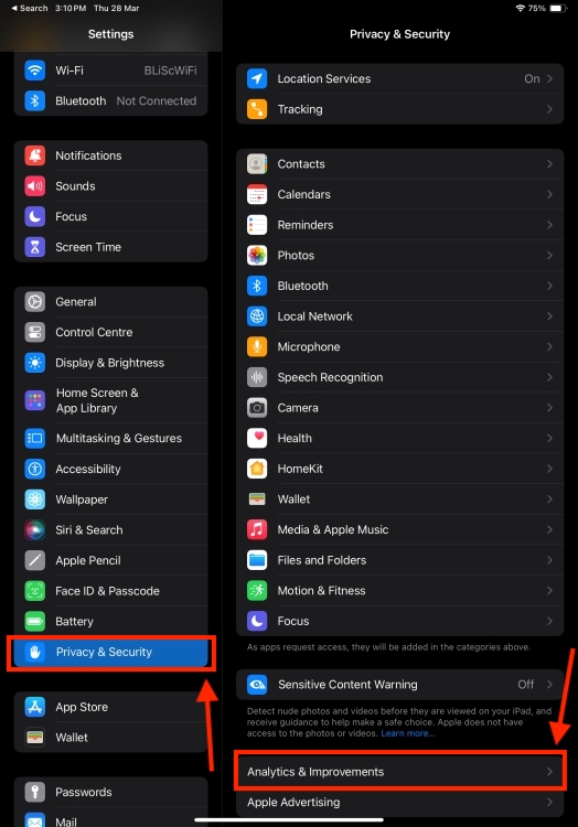 Privacy and Security in iPad Settings